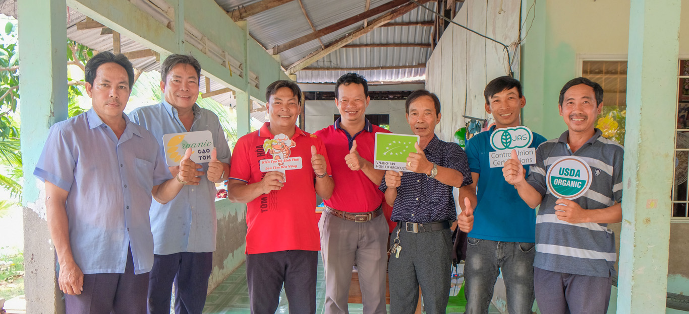 Phát giấy chứng nhận