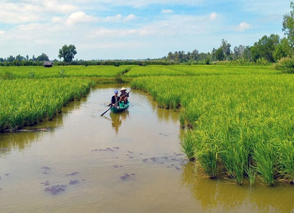 Nguyên tắc nuôi tôm hữu cơ