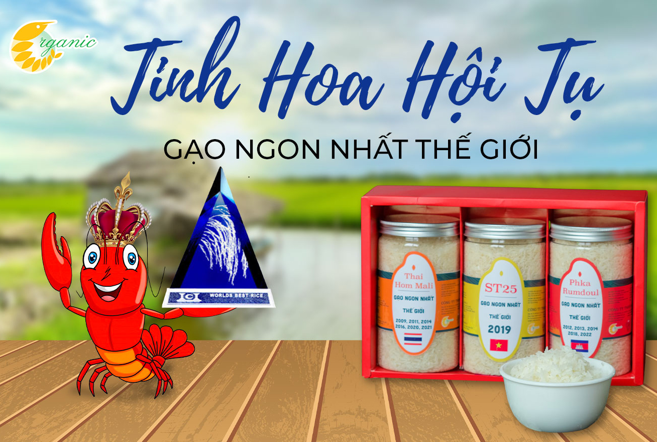 Tinh Hoa Hội Tụ - Gạo Ngon Nhất Thế Giới